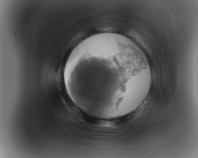 X0000099980167200806131407