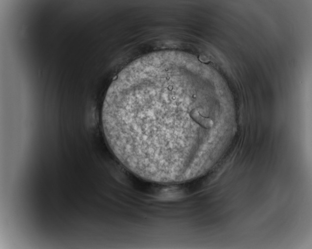 X0000099980173200806131407