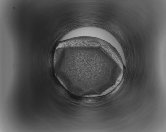 X0000099980174200806131407