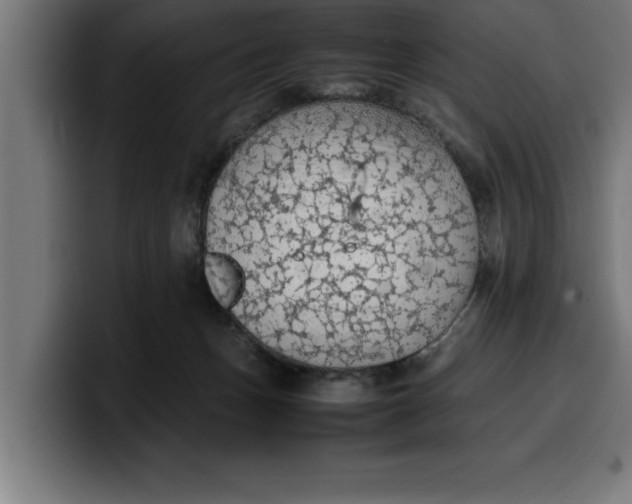 X0000099980175200806131407