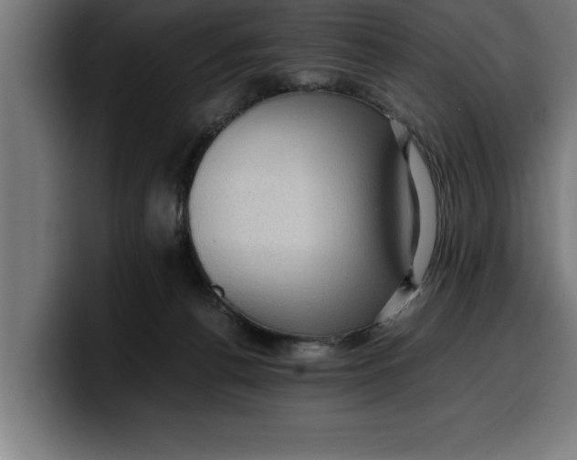 X0000099980176200806131407