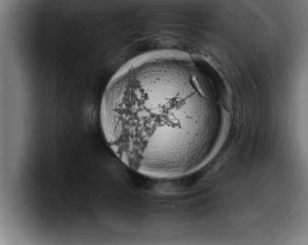 X0000099980177200806131407