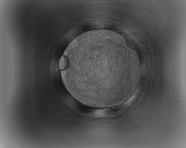 X0000099980178200806131407