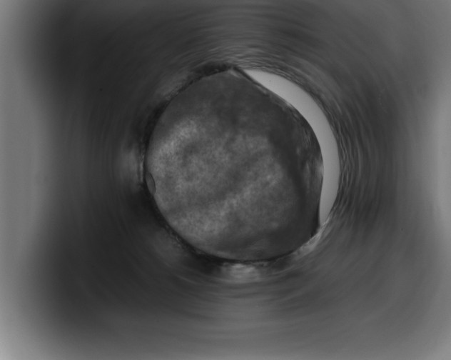 X0000099980180200806131407