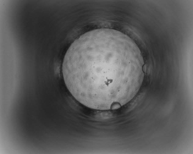 X0000099980185200806131407