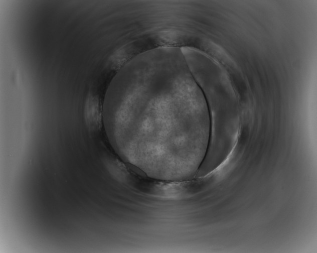 X0000099980186200806131407