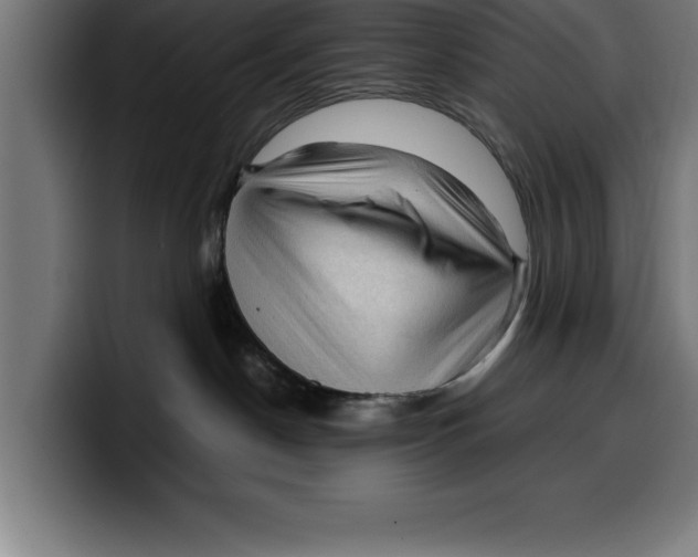 X0000099980190200806131407