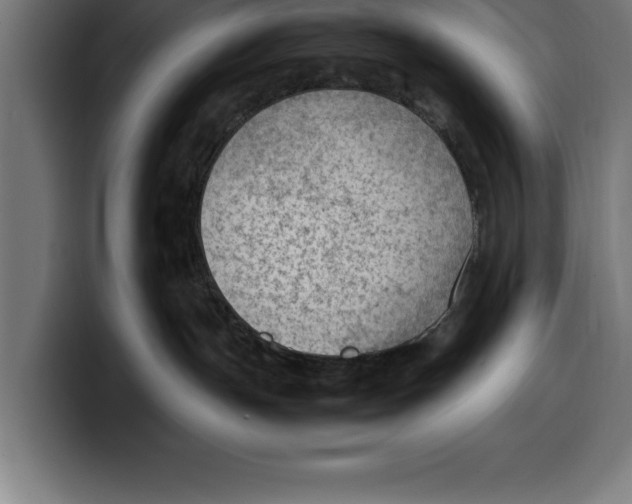 X0000099980191200806131407