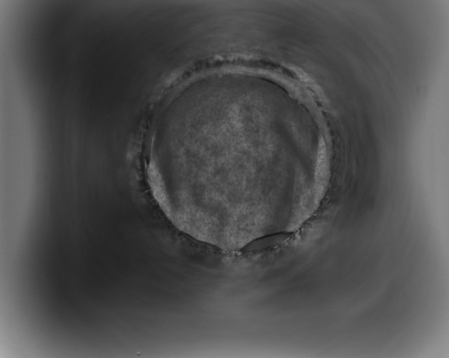 X0000099980192200806131407