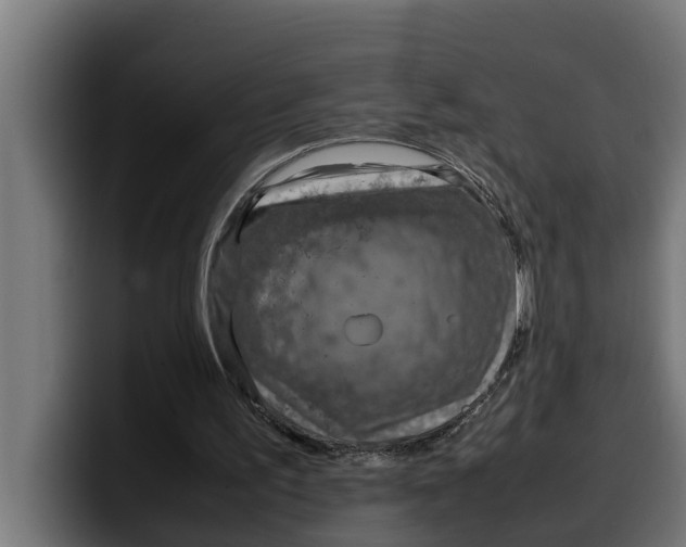 X0000099980195200806131406