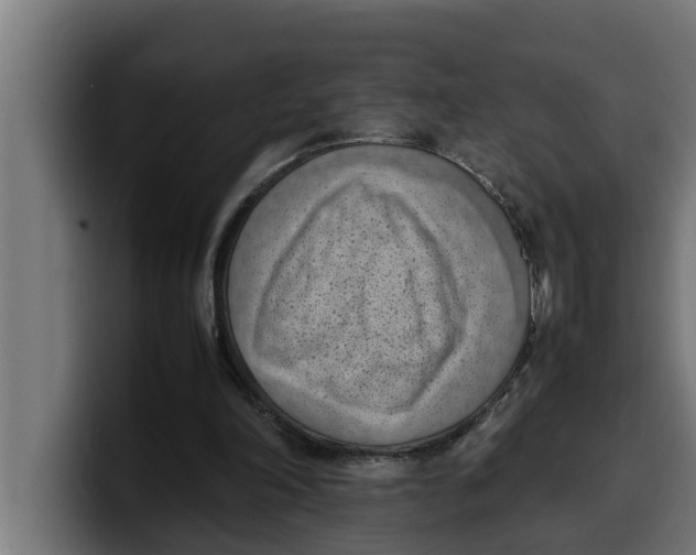 X0000099980198200806131406