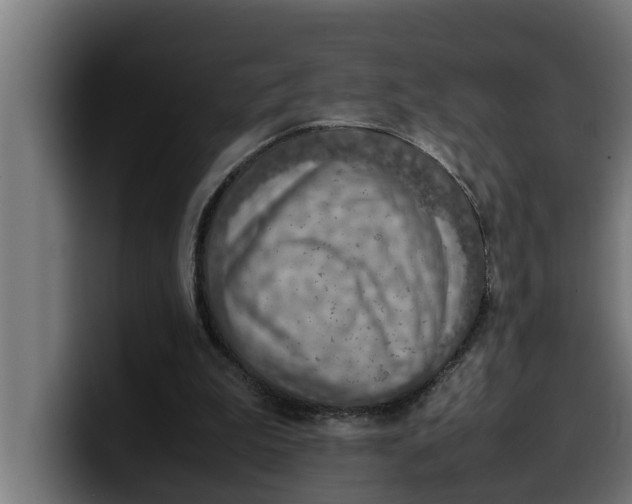 X0000099980199200806131406