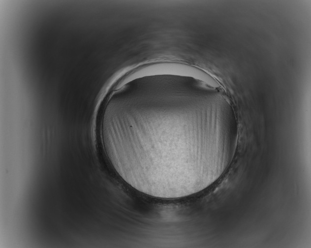 X0000099980200200806131406