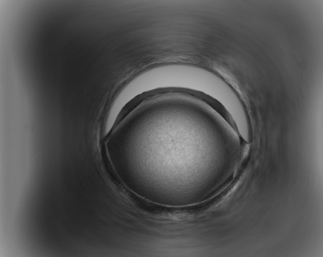 X0000099980201200806131406