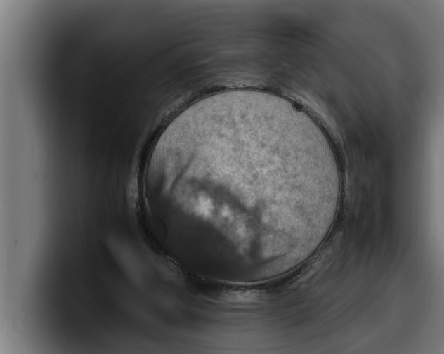 X0000099980202200806131406