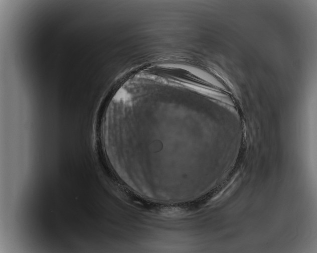 X0000099980203200806131406