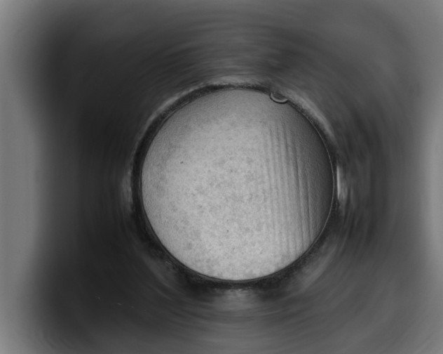 X0000099980204200806131406