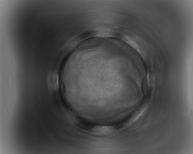 X0000099980205200806131406