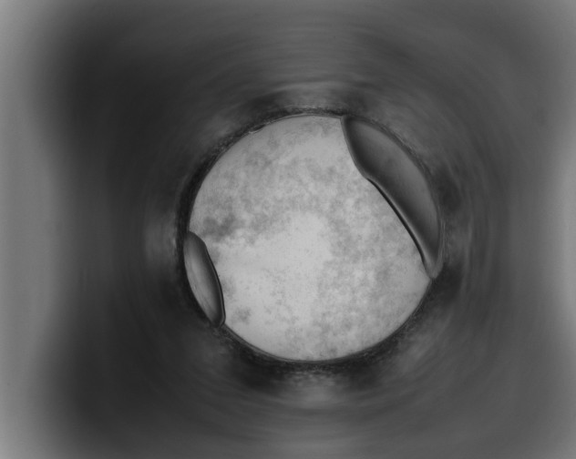 X0000099980207200806131406