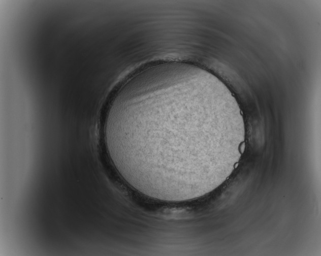 X0000099980208200806131406