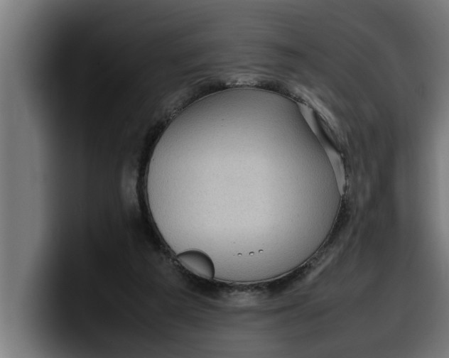 X0000099980209200806131406