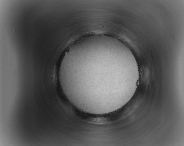 X0000099980212200806131406