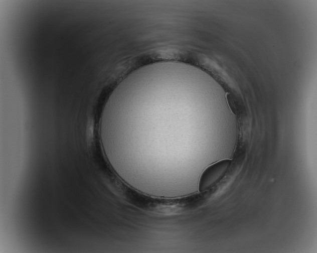 X0000099980213200806131406