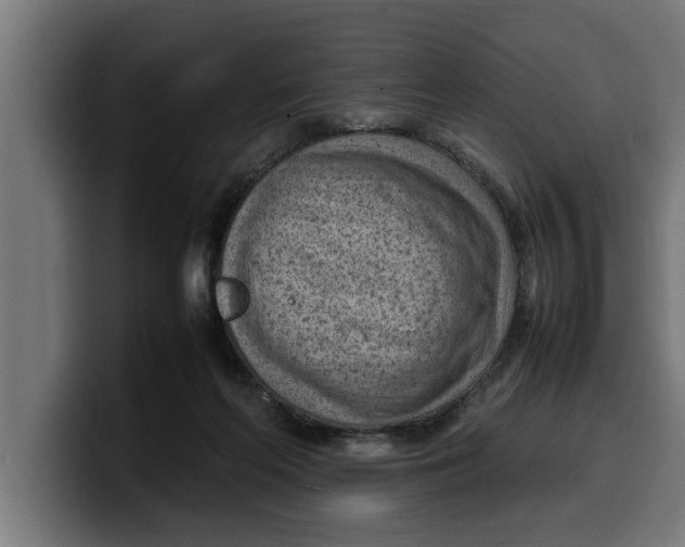 X0000099980214200806131406