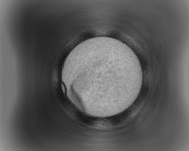 X0000099980215200806131406