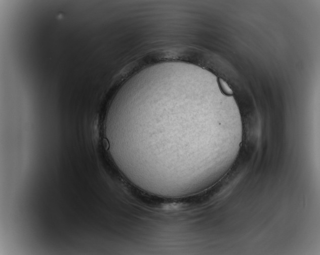 X0000099980216200806131406