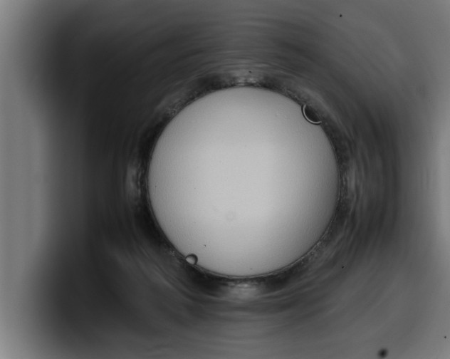 X0000099980218200806131406