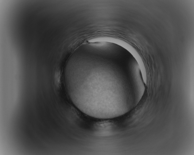 X0000099980219200806131406