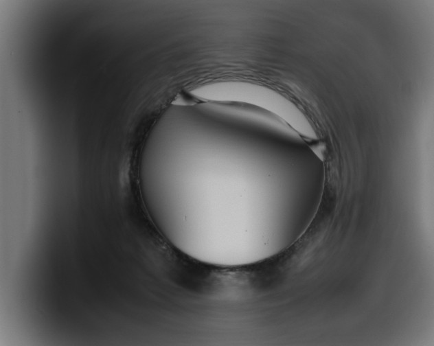 X0000099980221200806131406