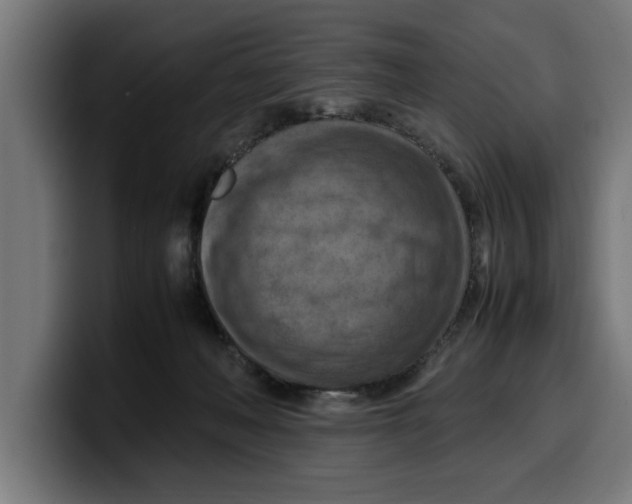 X0000099980222200806131406