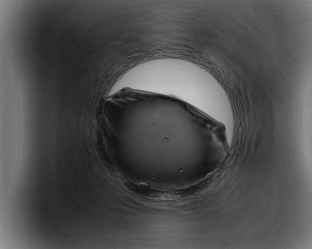 X0000099980223200806131406