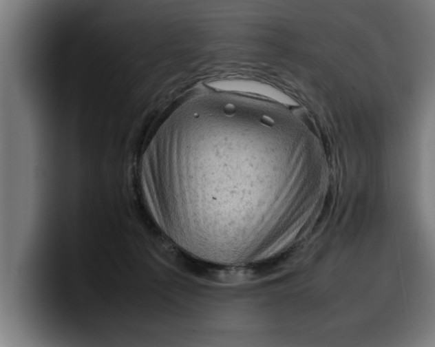 X0000099980225200806131406