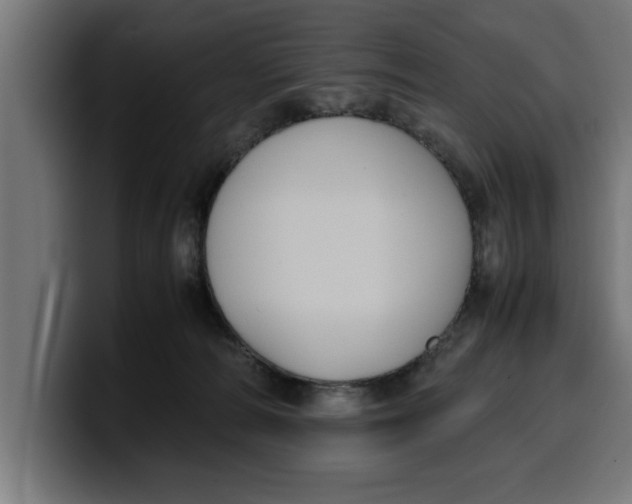 X0000099980226200806131406