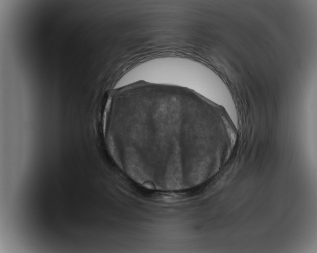 X0000099980229200806131406