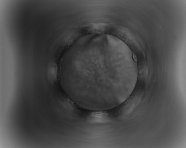 X0000099980231200806131406