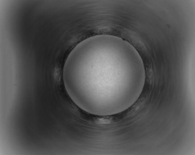 X0000099980232200806131406