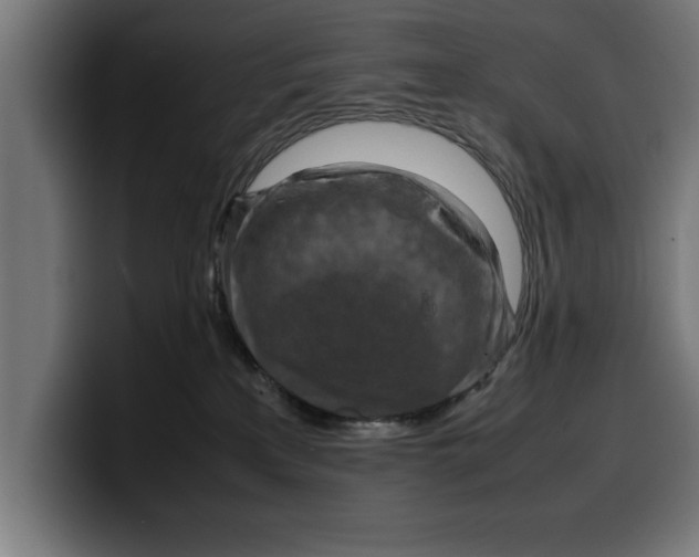 X0000099980233200806131406