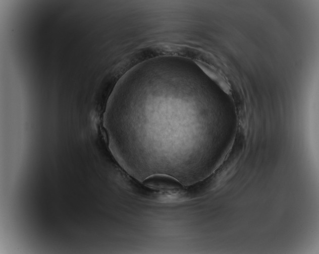 X0000099980235200806131406