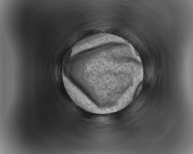 X0000099980236200806131406