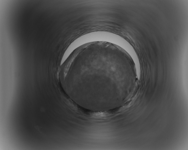 X0000099980237200806131406