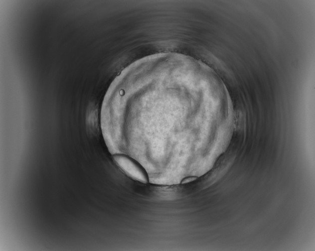 X0000099980238200806131406