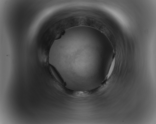 X0000099980239200806131406