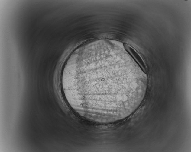 X0000099980241200806131405