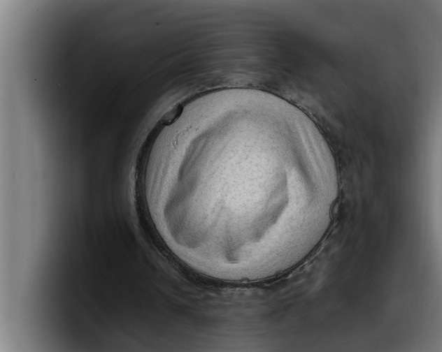 X0000099980242200806131405