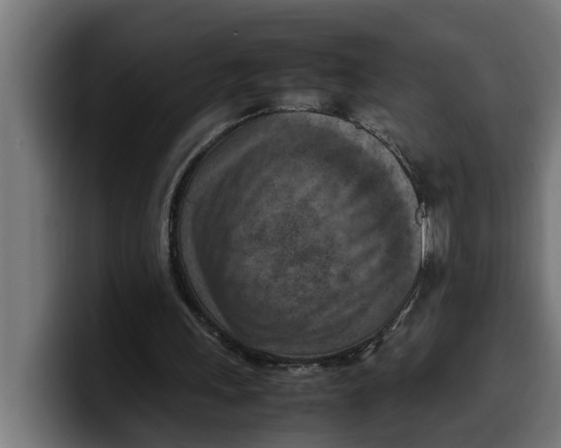 X0000099980243200806131405