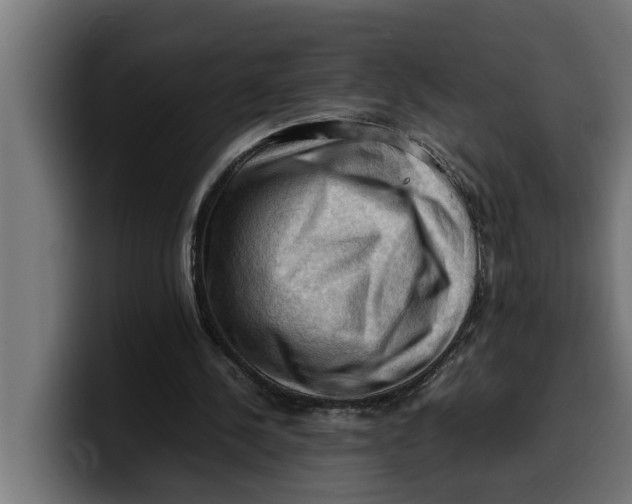 X0000099980244200806131405